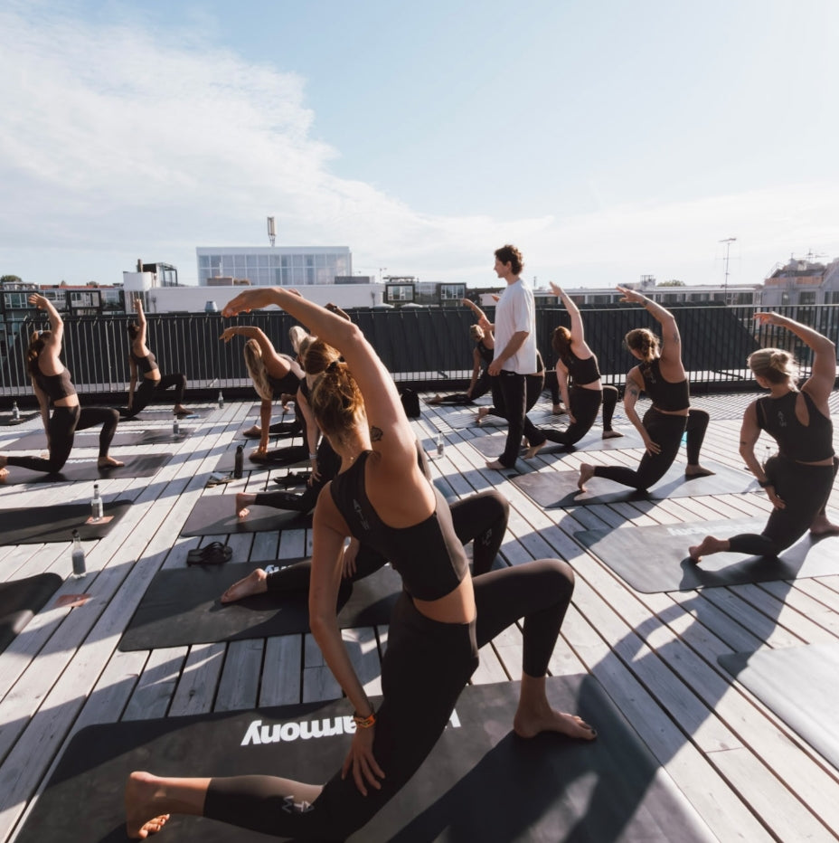 Face the Light – HALO x Kaydi x Heat Harmony