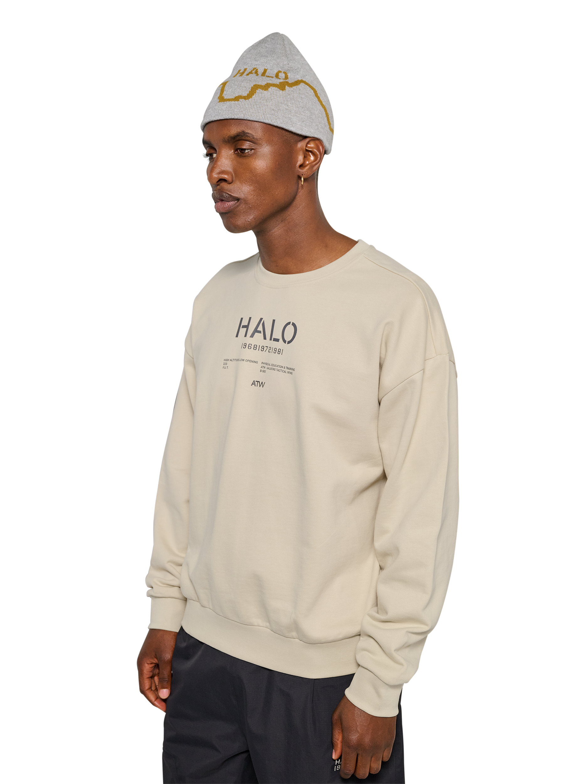 HALO GRAPHIC BOXY CREW
