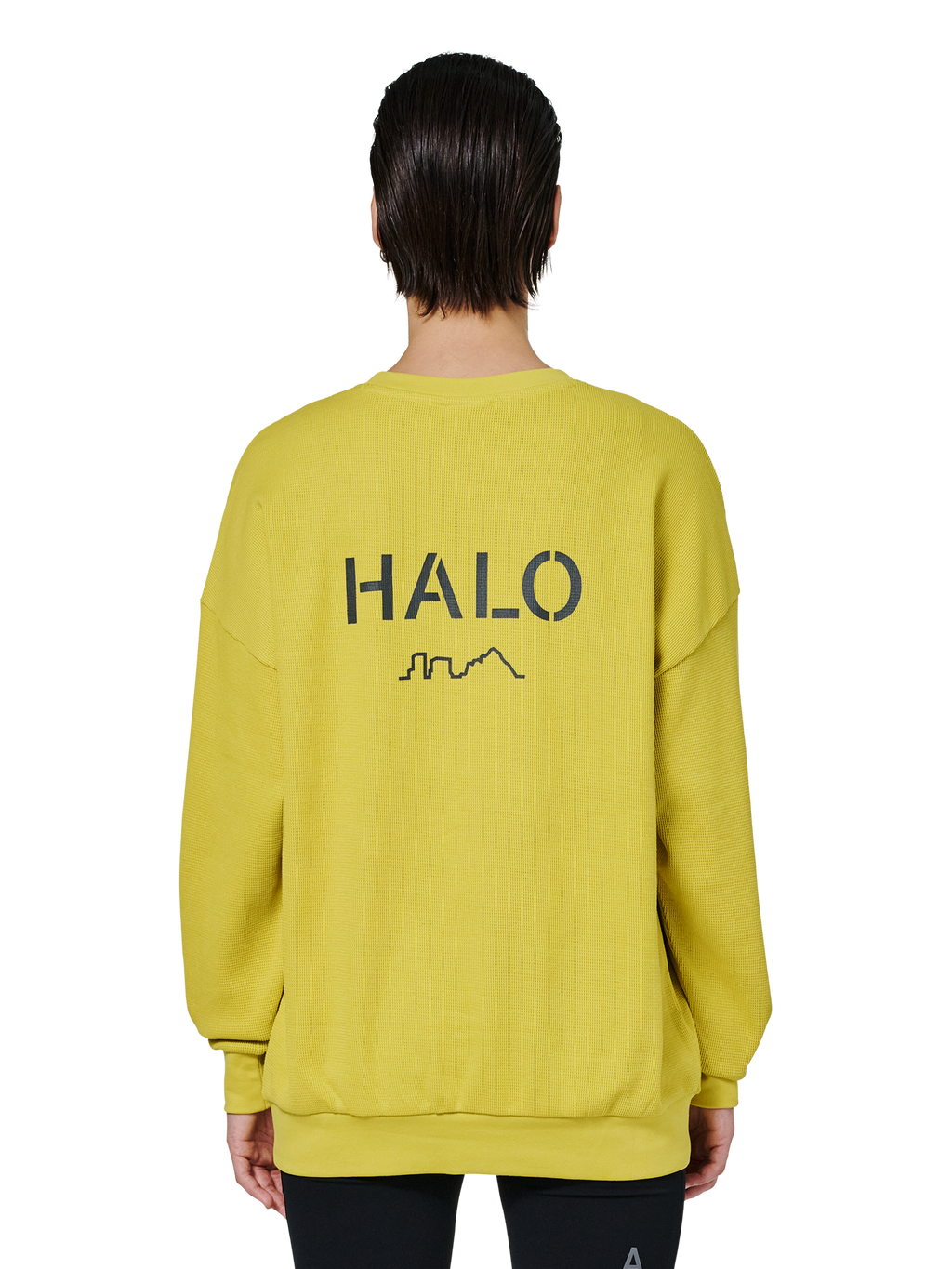 HALO AVIATION WAFFLE CREW