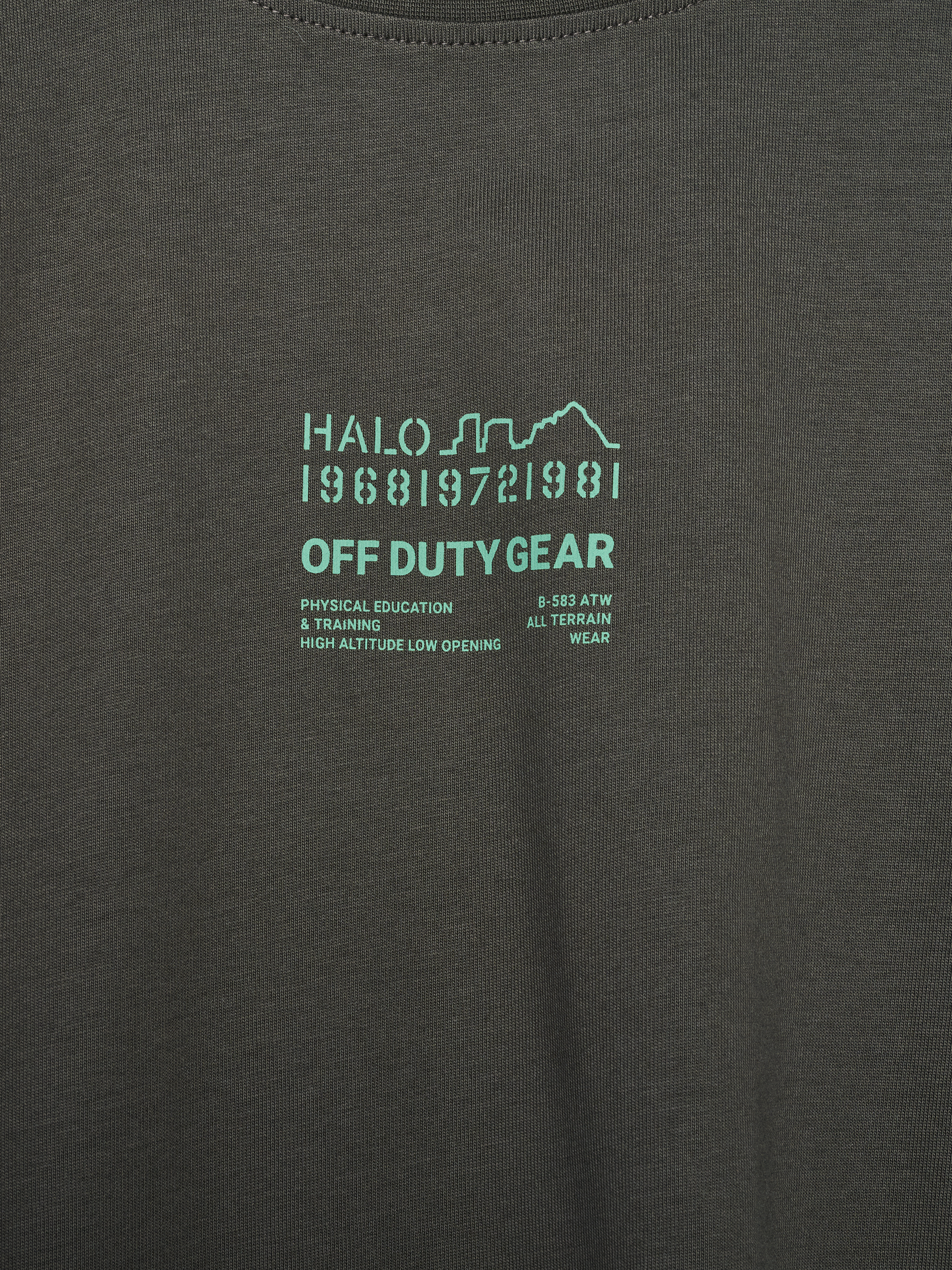 HALO GRAPHIC BOXY T-SHIRT