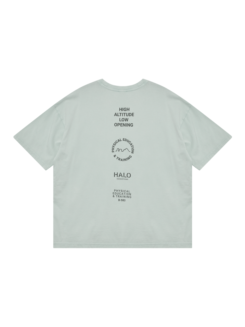 HALO GRAPHIC LOGO BOXY T-SHIRT