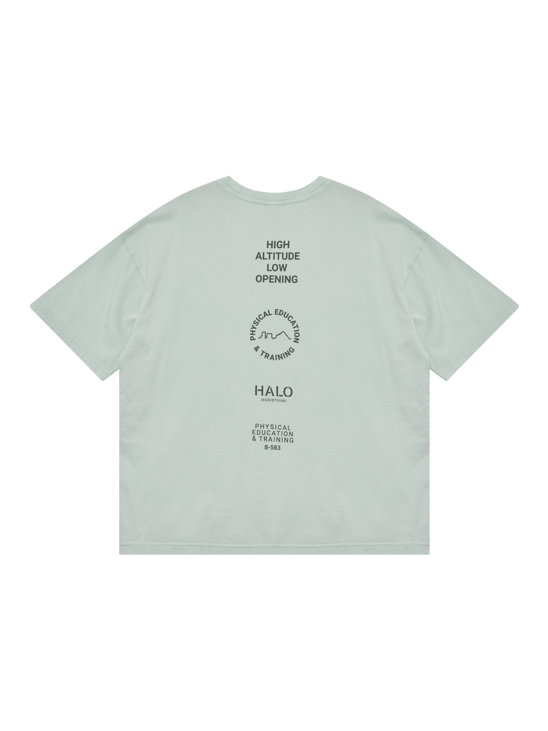 HALO GRAPHIC LOGO BOXY T-SHIRT