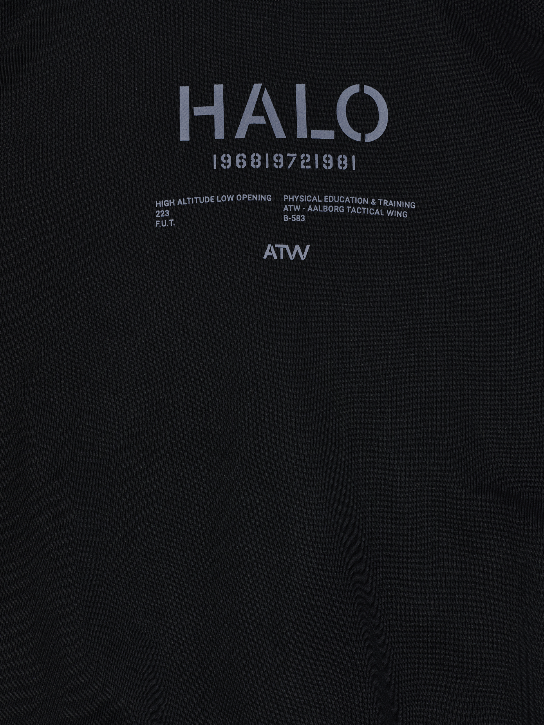 HALO GRAPHIC BOXY CREW