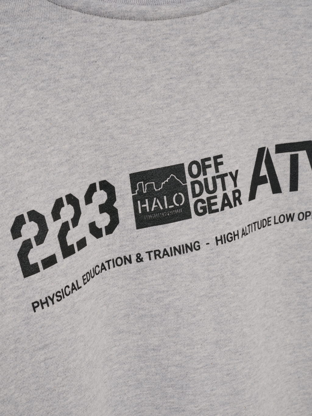 HALO GRAPHIC BOXY CREW