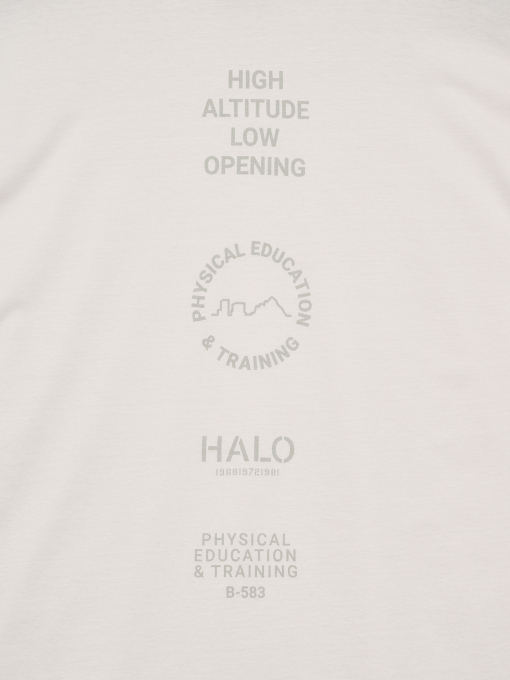 HALO GRAPHIC LOGO BOXY T-SHIRT