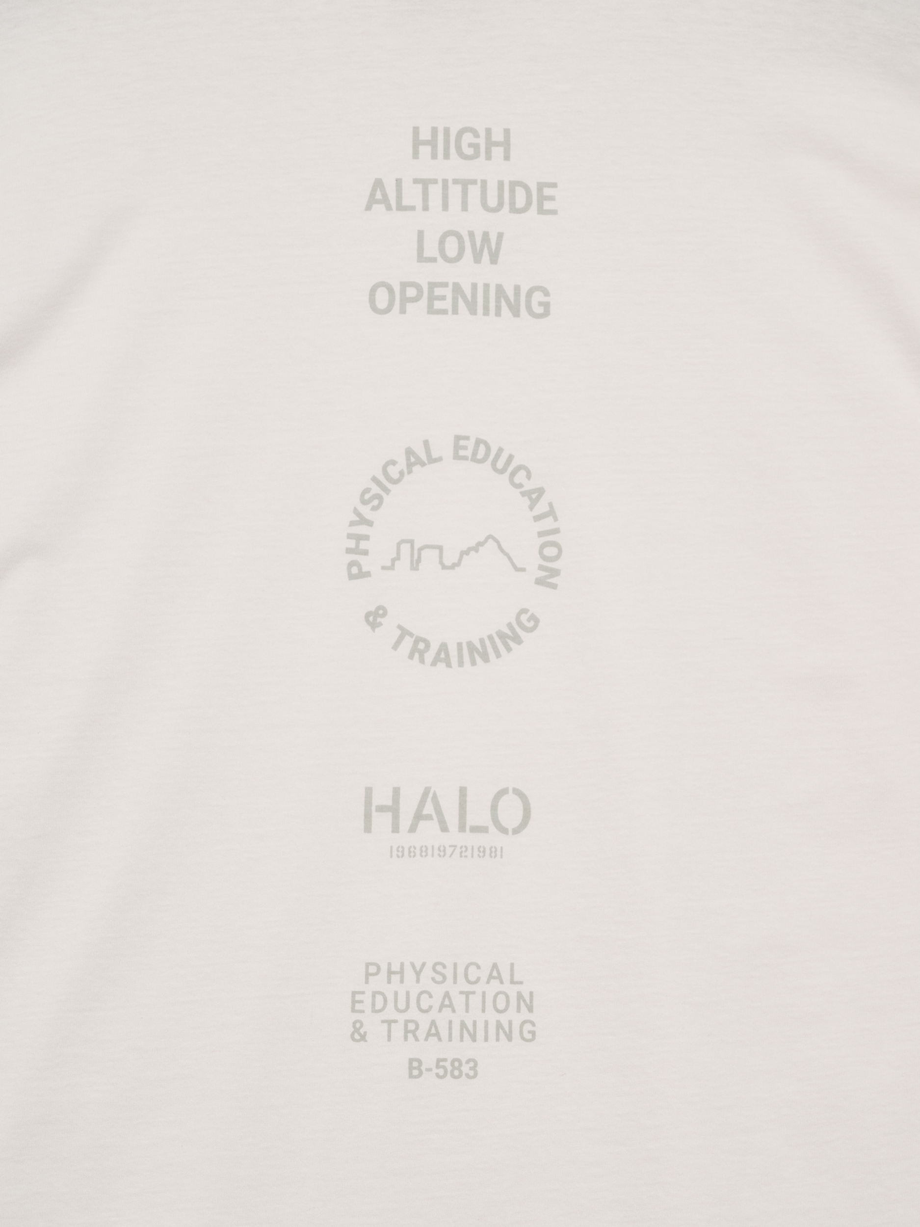 HALO GRAPHIC LOGO BOXY T-SHIRT