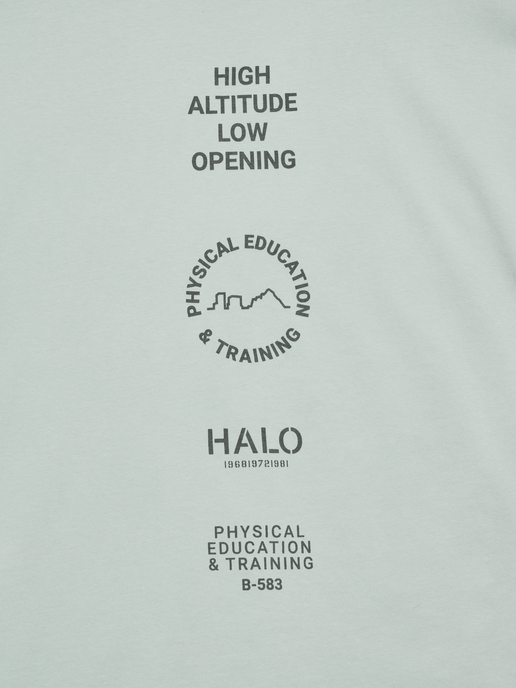 HALO GRAPHIC LOGO BOXY T-SHIRT