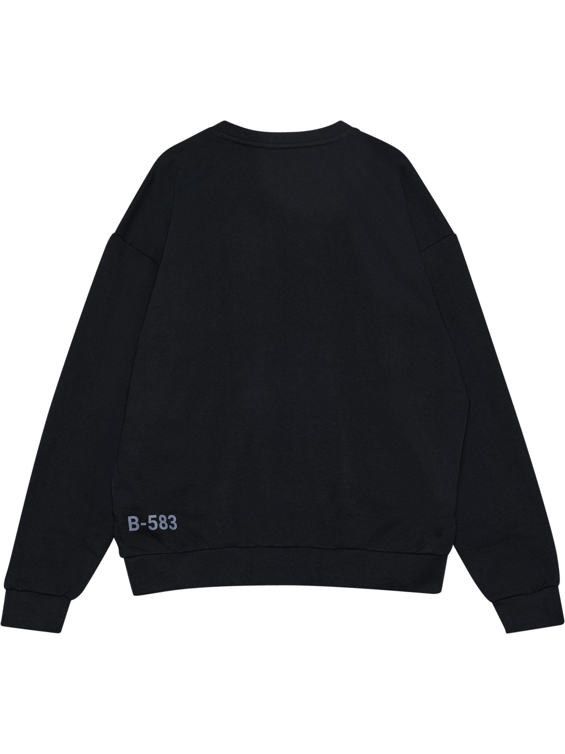 HALO GRAPHIC BOXY CREW