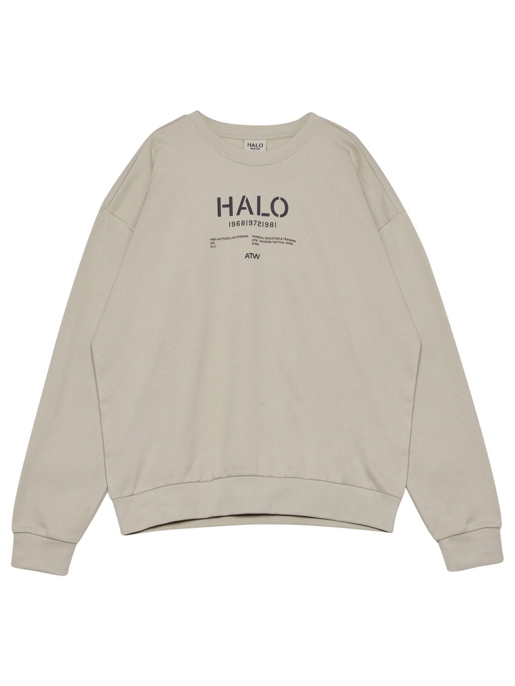 HALO GRAPHIC BOXY CREW