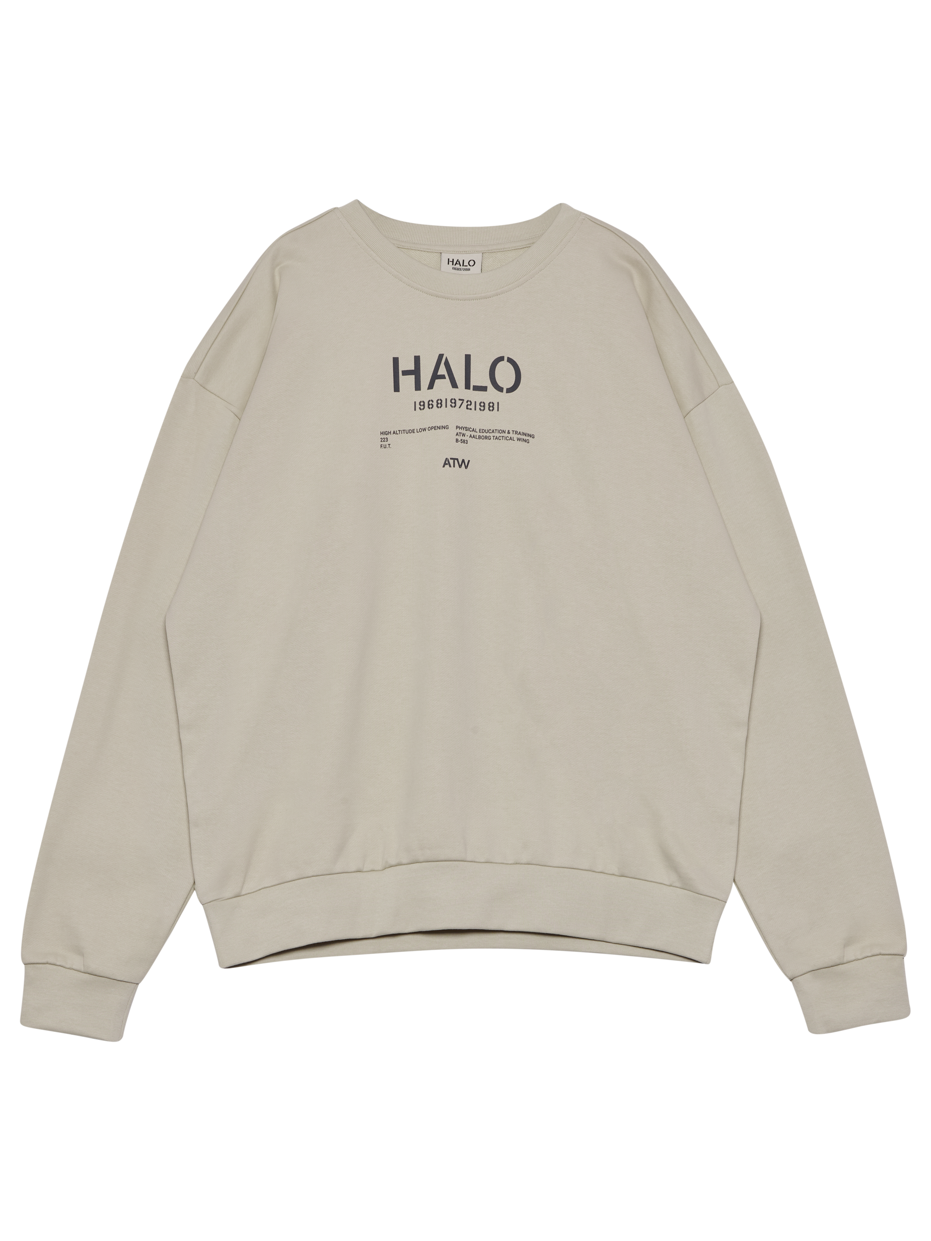 HALO GRAPHIC BOXY CREW