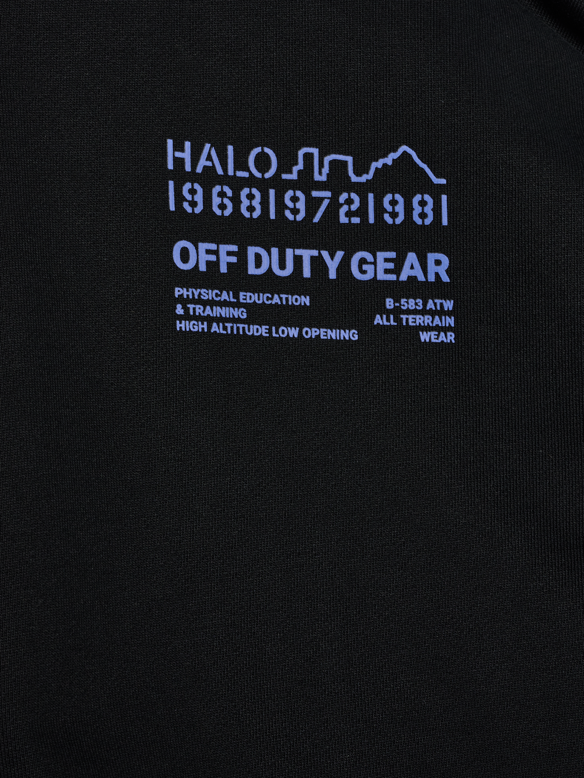 HALO GRAPHIC BOXY CREW