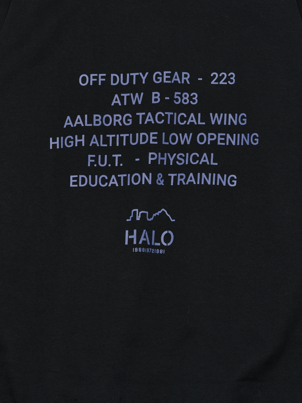 HALO GRAPHIC BOXY CREW