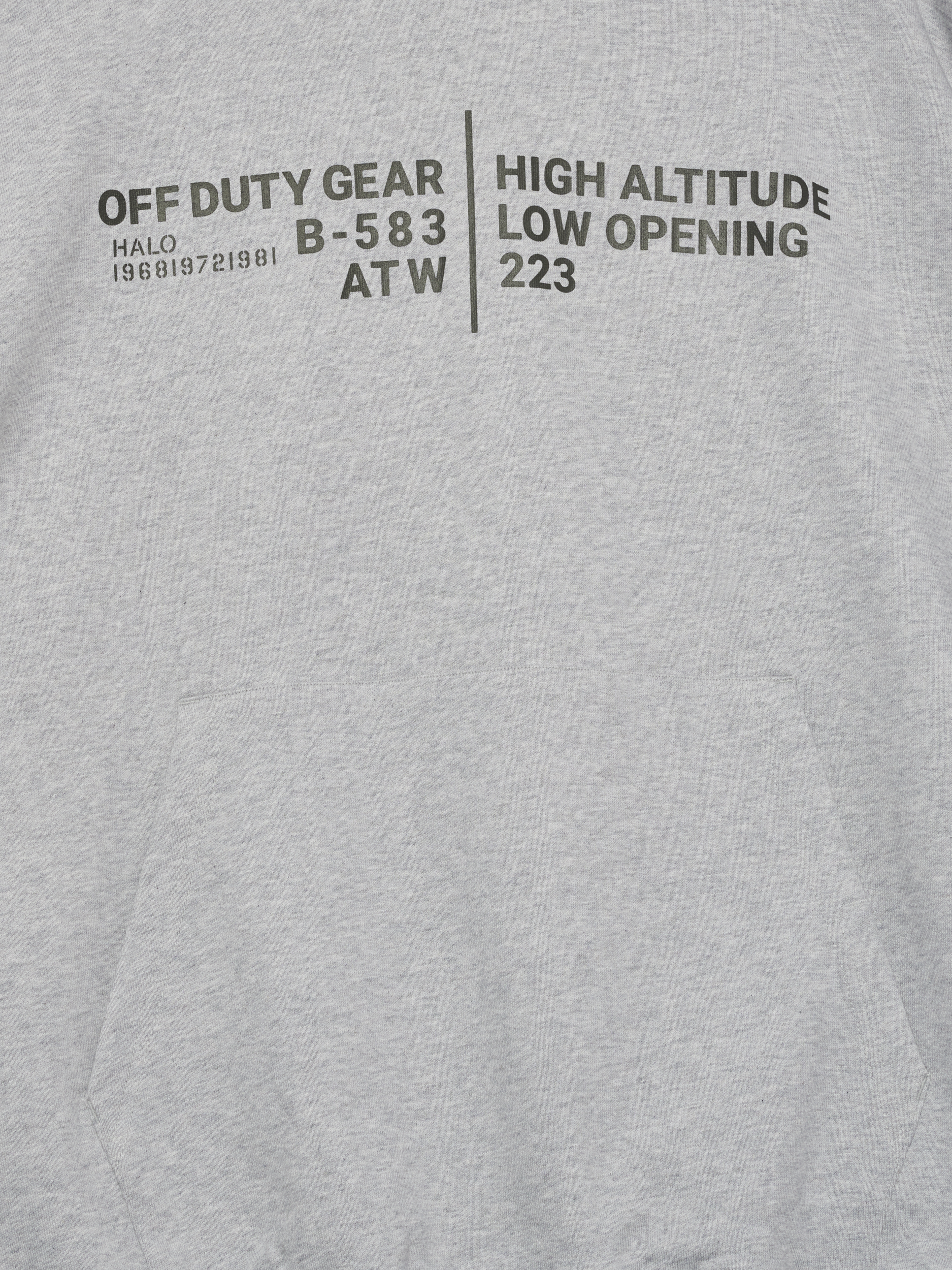 HALO GRAPHIC BOXY HOODIE
