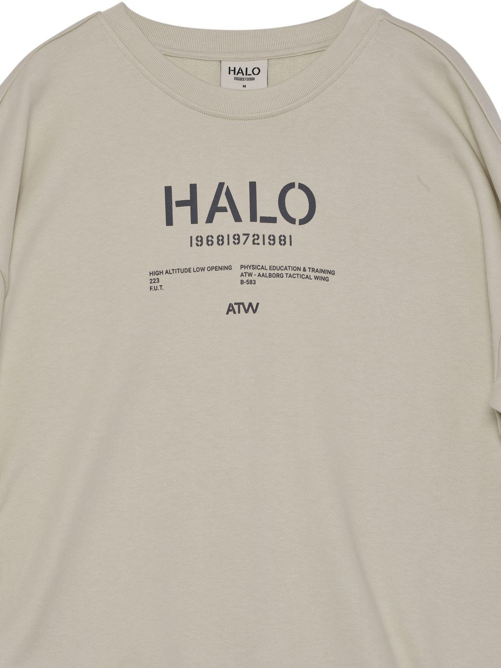 HALO GRAPHIC BOXY CREW