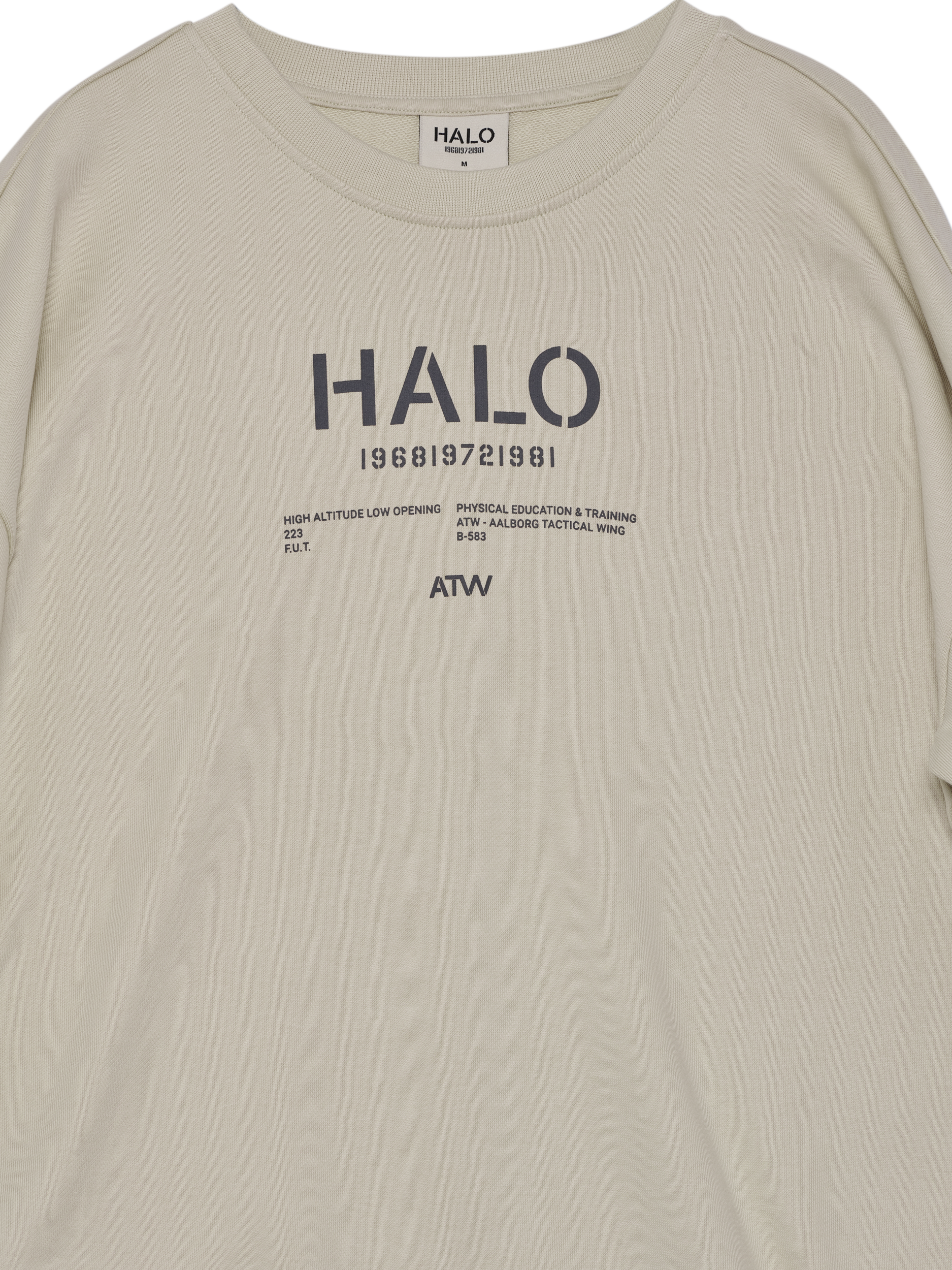 HALO GRAPHIC BOXY CREW