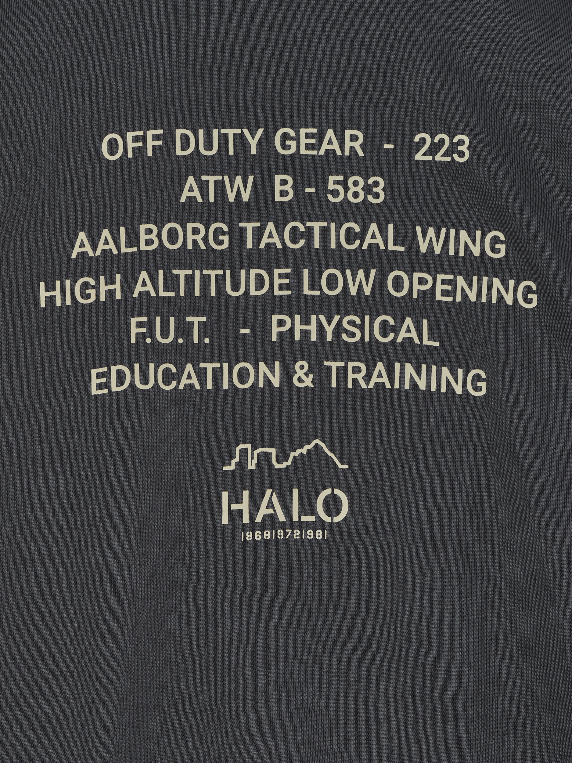 HALO GRAPHIC BOXY CREW