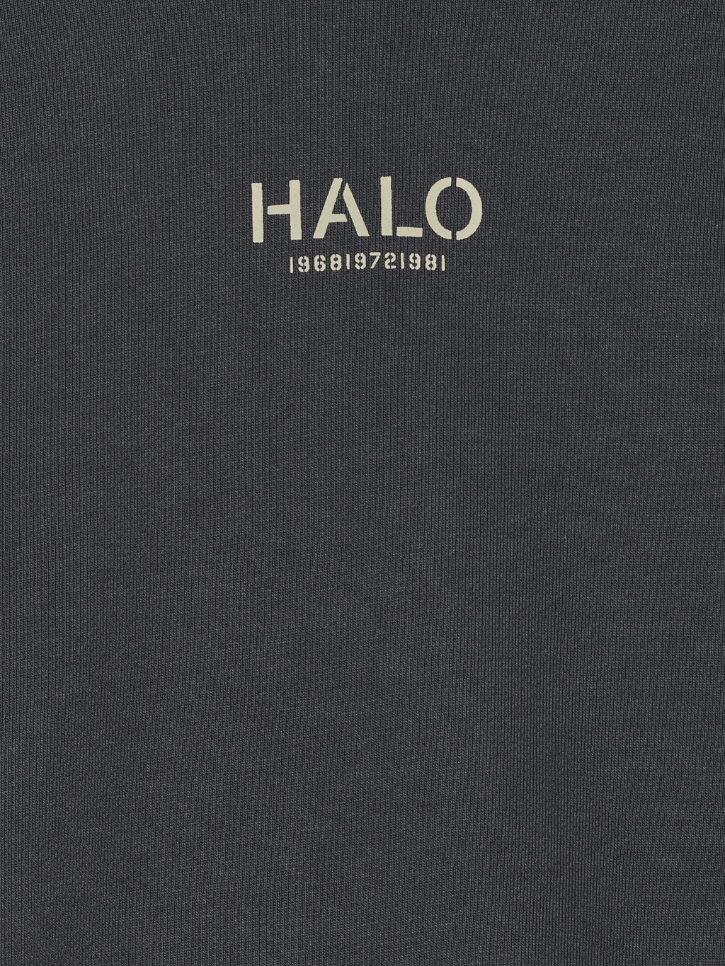 HALO GRAPHIC BOXY CREW
