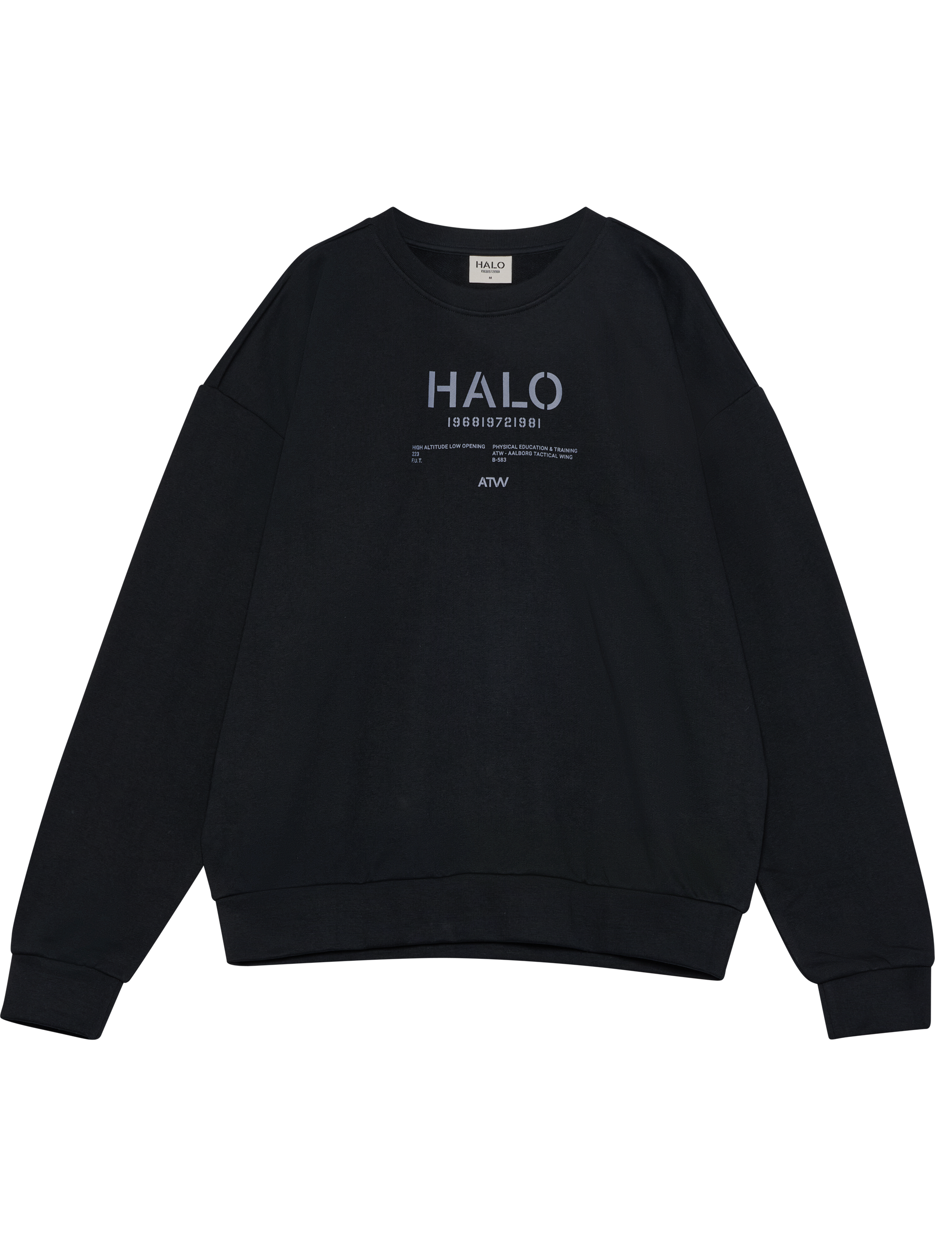 HALO GRAPHIC BOXY CREW