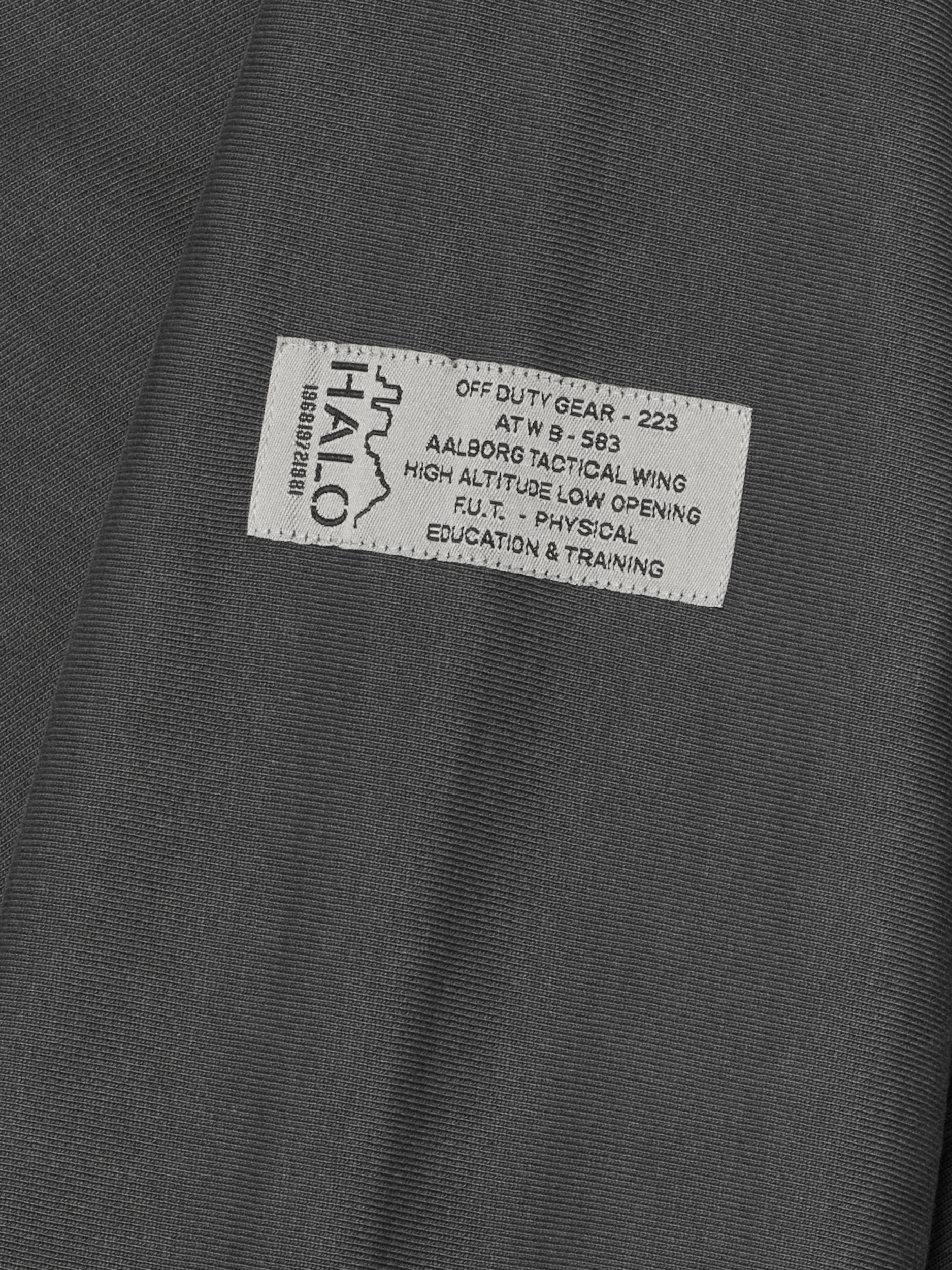 HALO REVERSE BOXY HOODIE