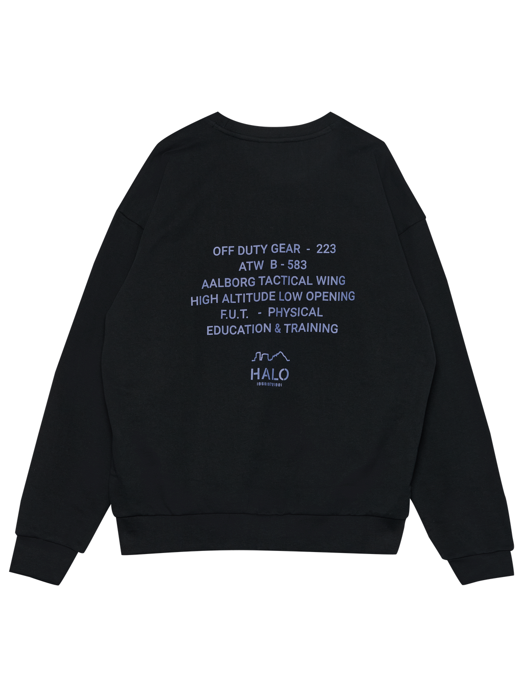HALO GRAPHIC BOXY CREW