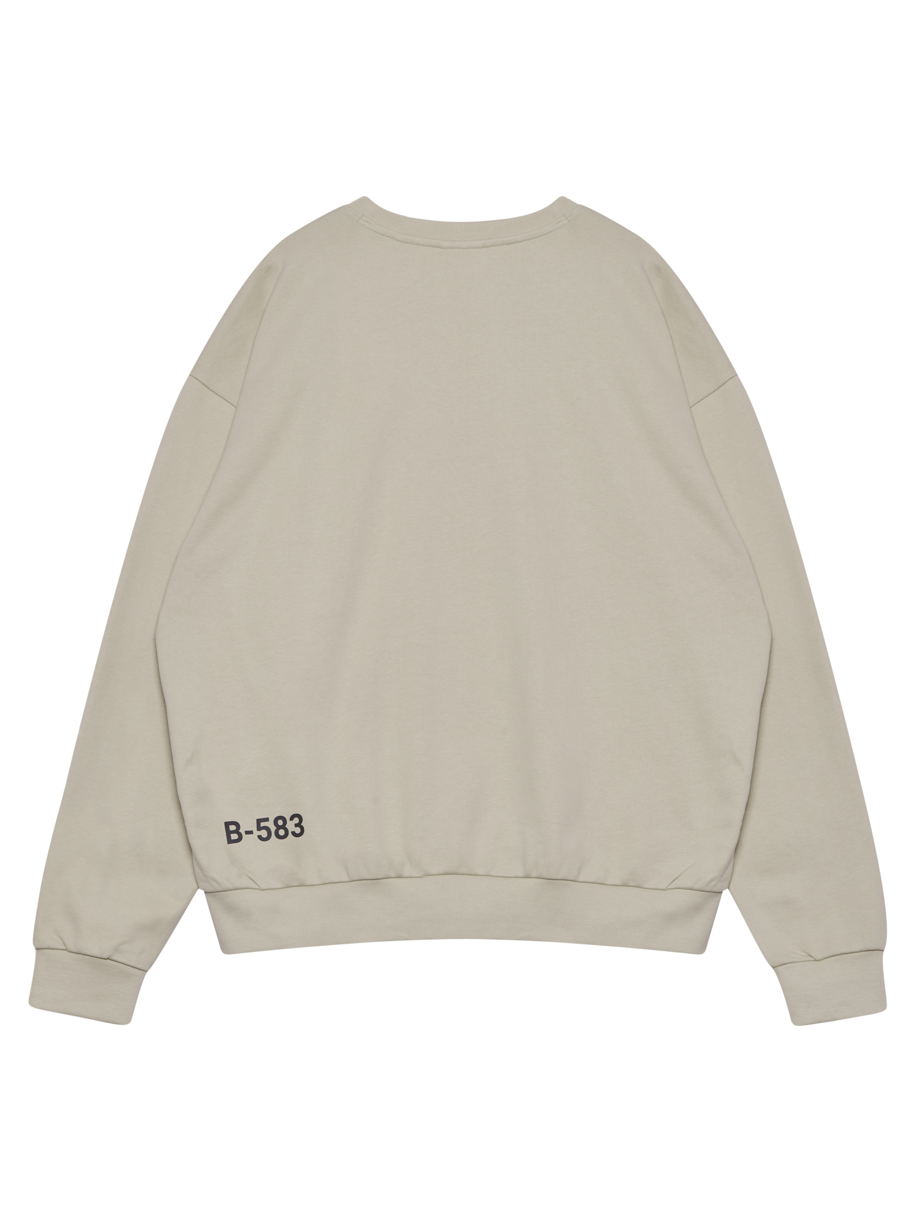 HALO GRAPHIC BOXY CREW